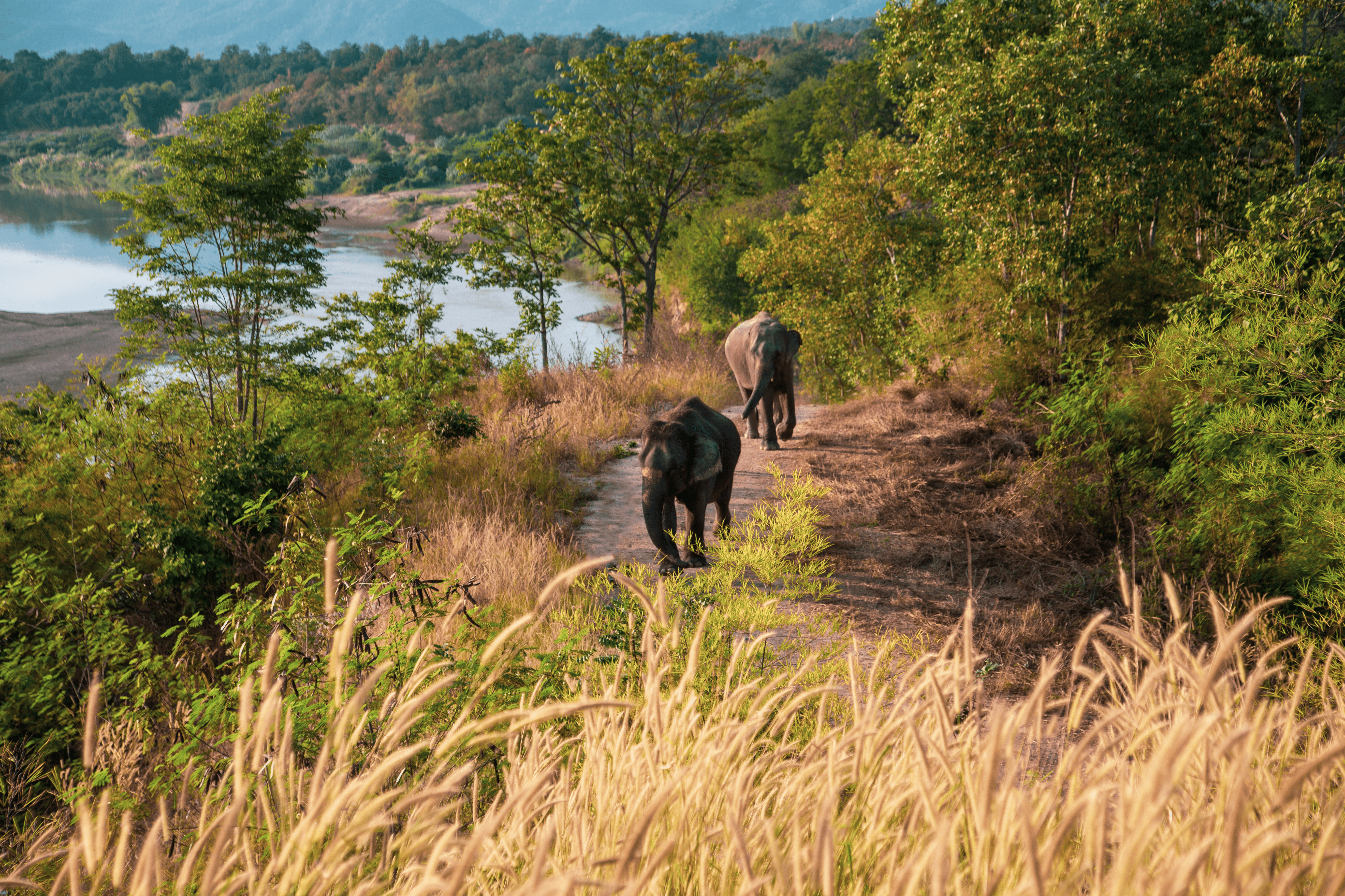 Elephant Hills & Beach Getaway